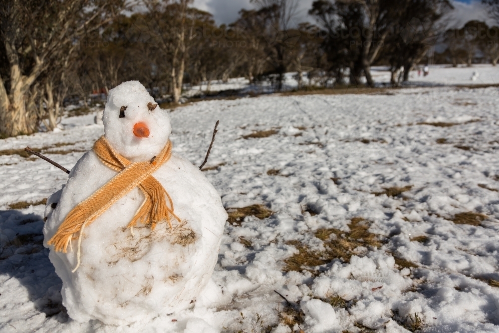 Snowman - Australian Stock Image