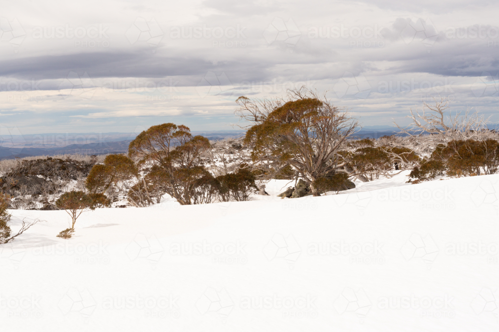 Snowy landscape at Perisher, Snowy Mountains Australia - Australian Stock Image
