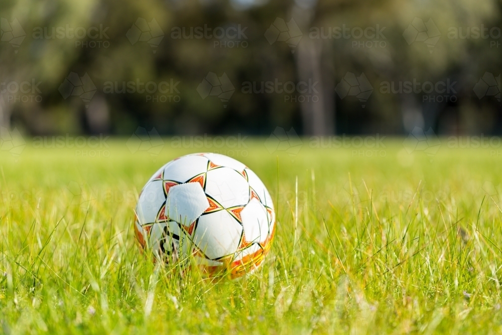 Image Of Soccer Ball In Grass Austockphoto