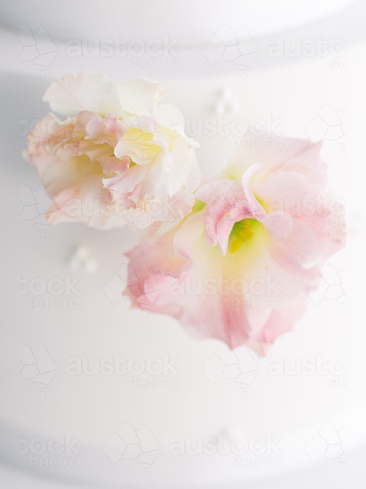 Soft Flower Blooms on a Wedding Cake - Australian Stock Image