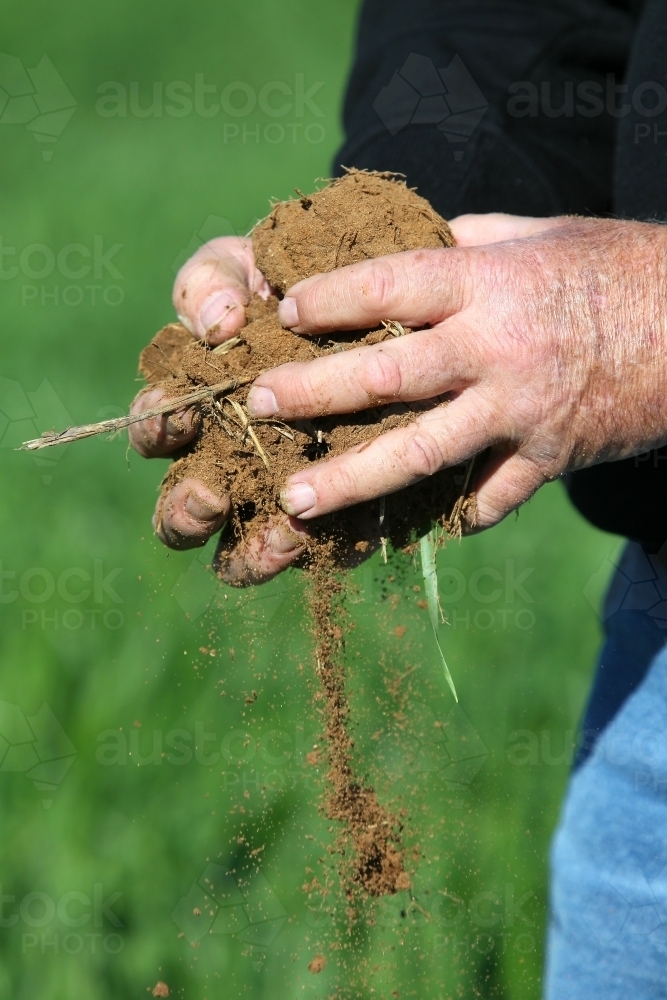 Soil in hands - Australian Stock Image