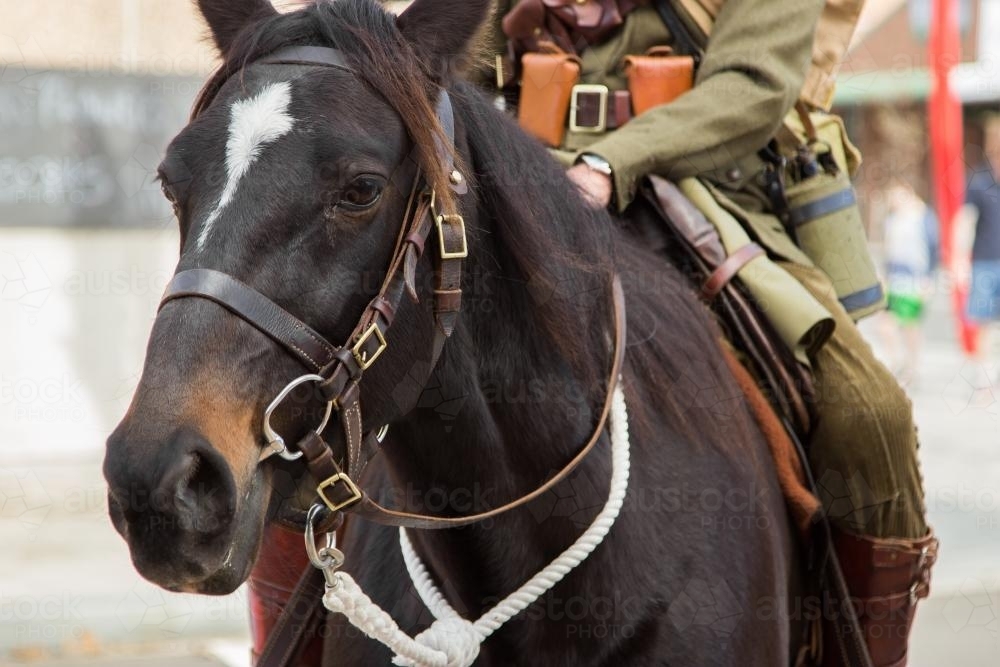 Soldier riding a horse in the ANZAC Day parade - Australian Stock Image