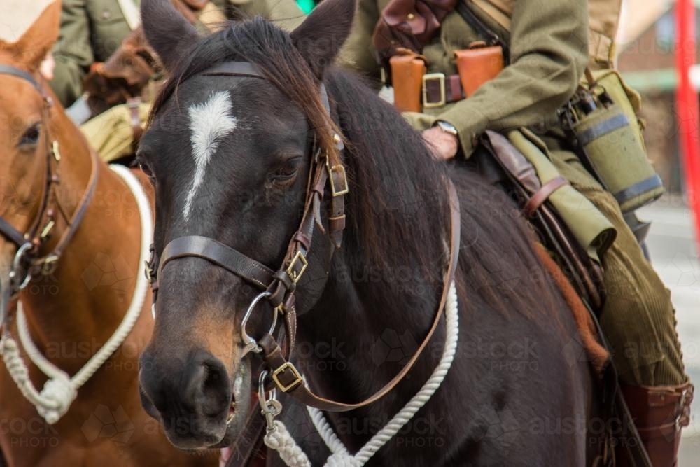 Soldiers riding horses in the ANZAC Day parade - Australian Stock Image