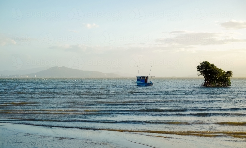 Solitary boat beside a mangrove by the beach - Australian Stock Image