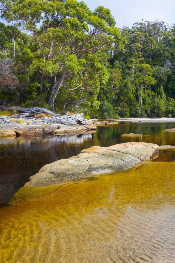 South Cape Rivulet - Australian Stock Image