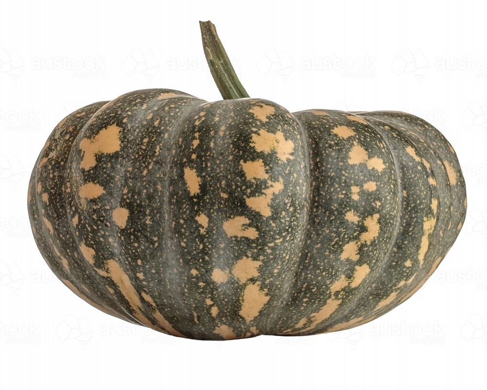 Speckled pumpkin on white background - Australian Stock Image
