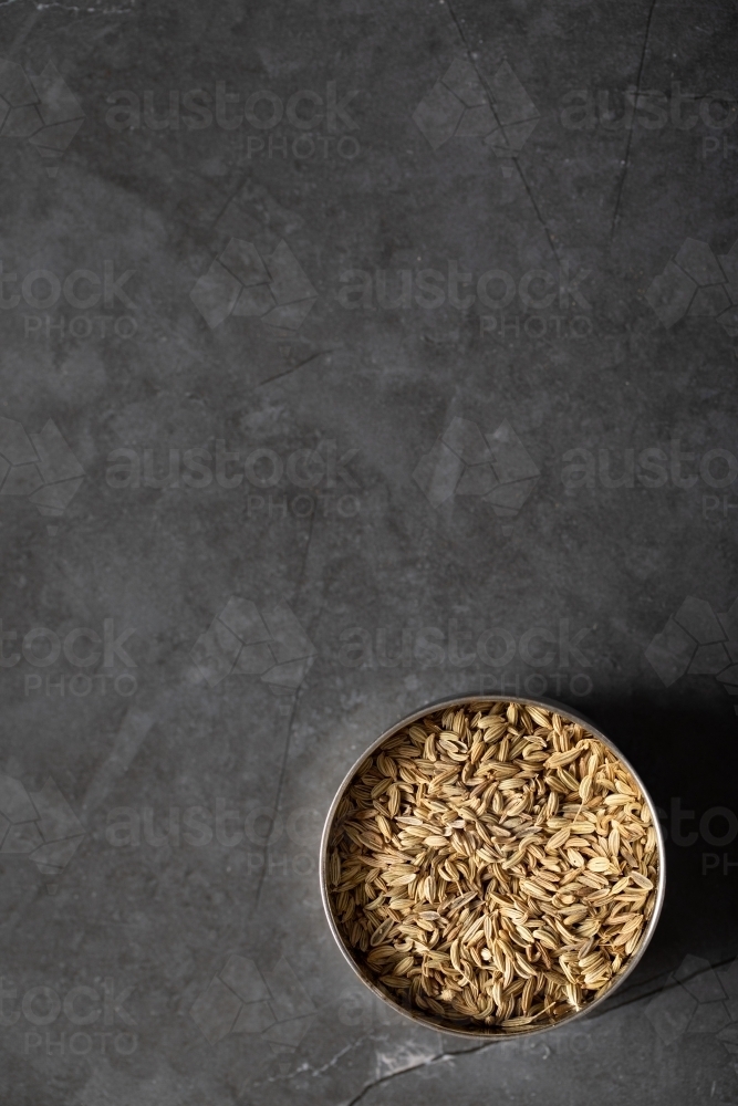 Spice tin of fennel seeds on dark background - Australian Stock Image