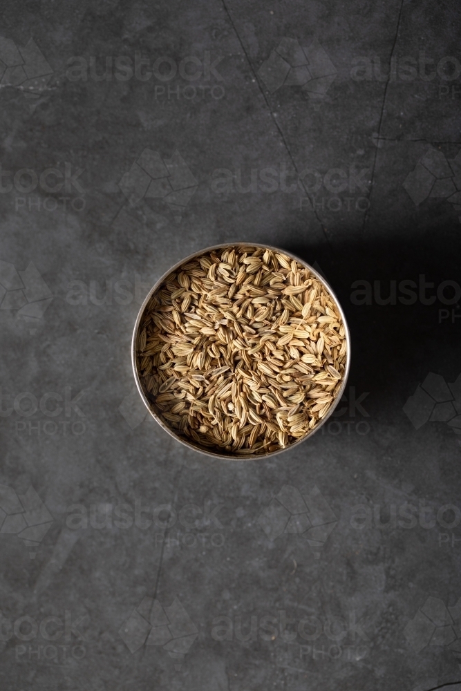 Spice tin of fennel seeds on dark background - Australian Stock Image