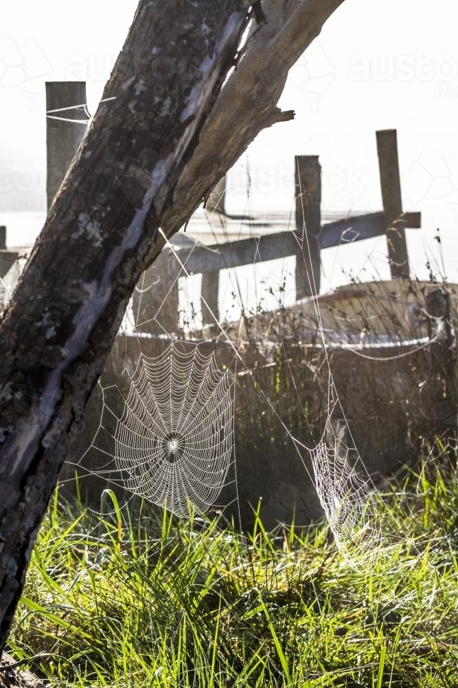 Spider webs glisten in the morning light beside a jetty and small dingy - Australian Stock Image