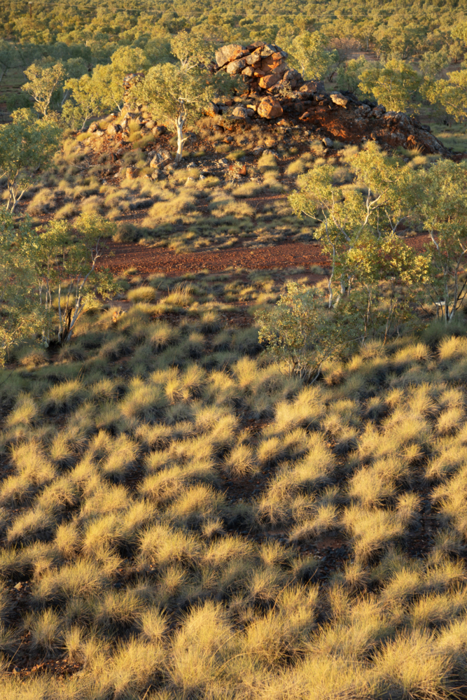 Spinifex desert landscape - Australian Stock Image