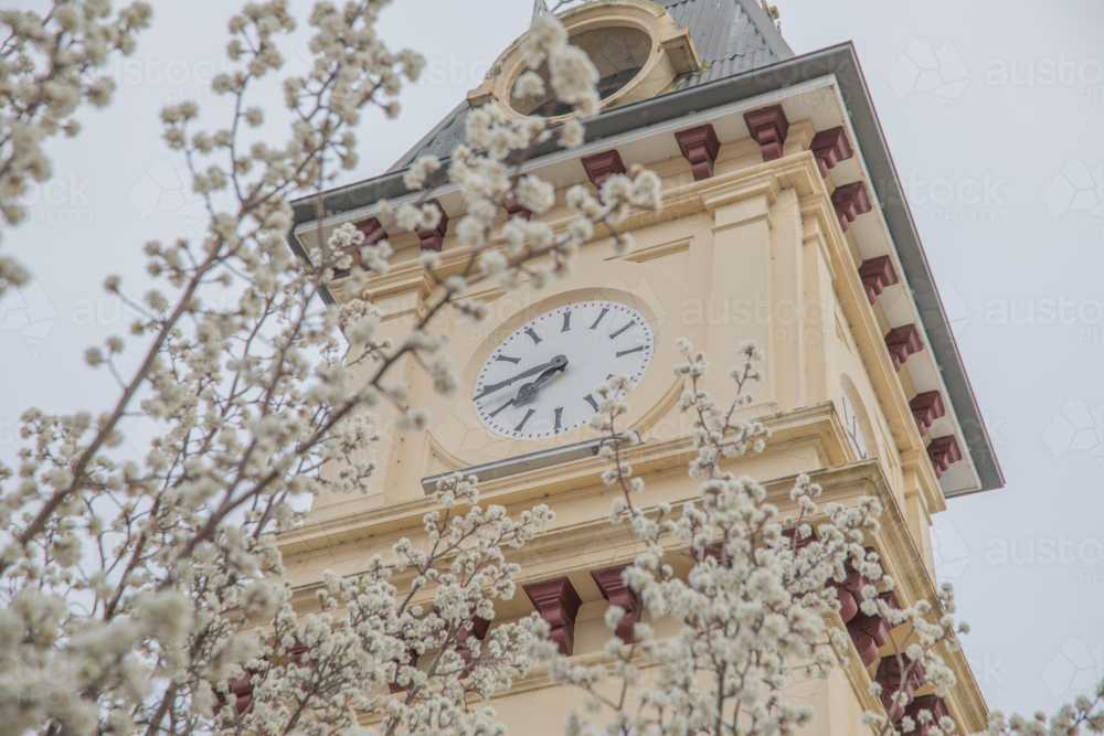 Spring blossoms and a small town post office building - Australian Stock Image