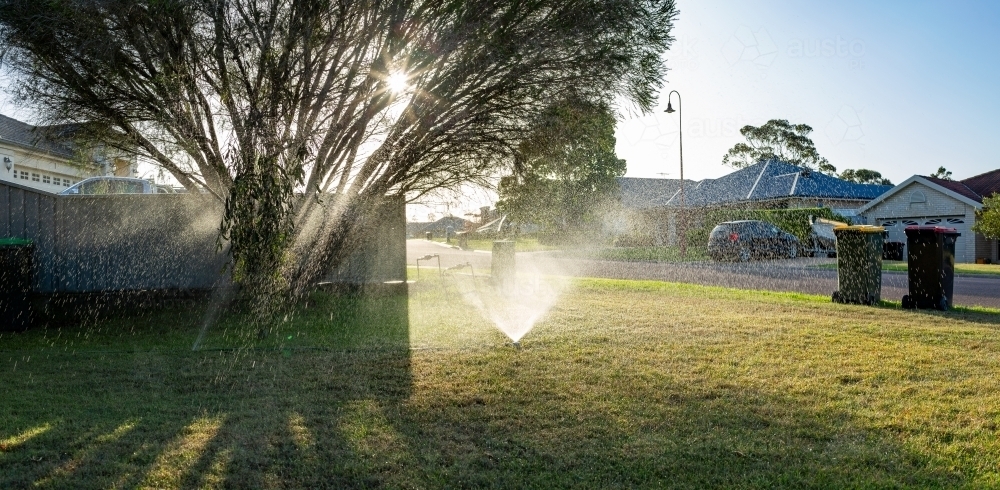 Sprinkler watering front yard of house on suburban street in summer - Australian Stock Image