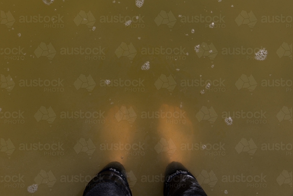Standing in cloudy brown water - Australian Stock Image