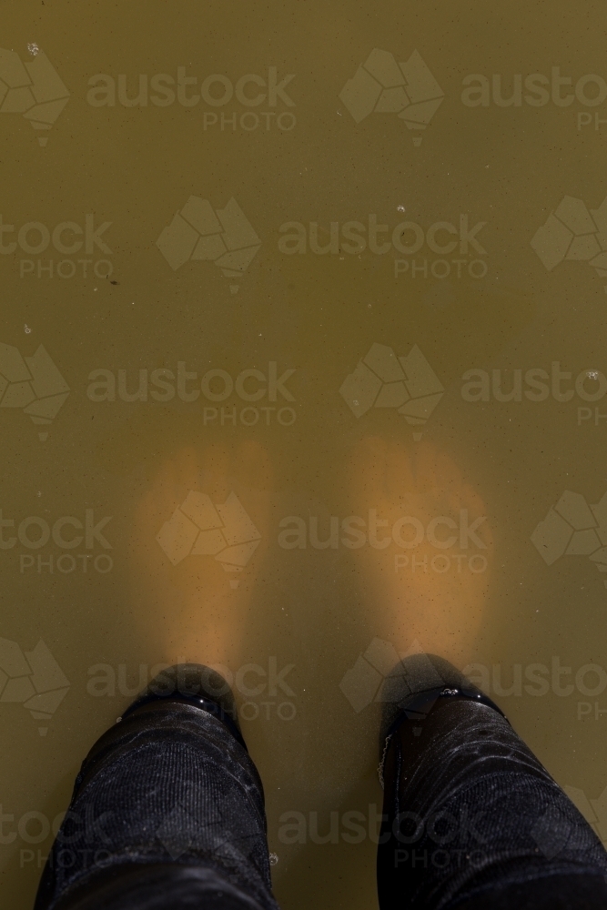 Standing in murky lake water - Australian Stock Image