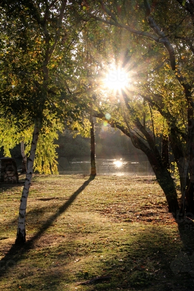 Starburst through trees over lake - Australian Stock Image