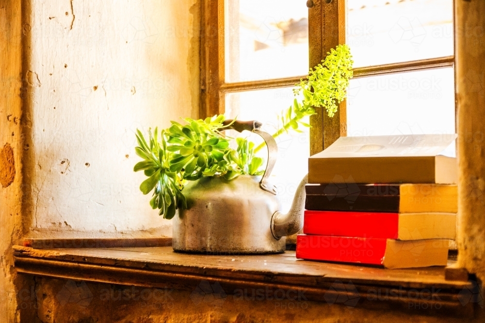 Still life of succulent in kettle and books on windowsill - Australian Stock Image