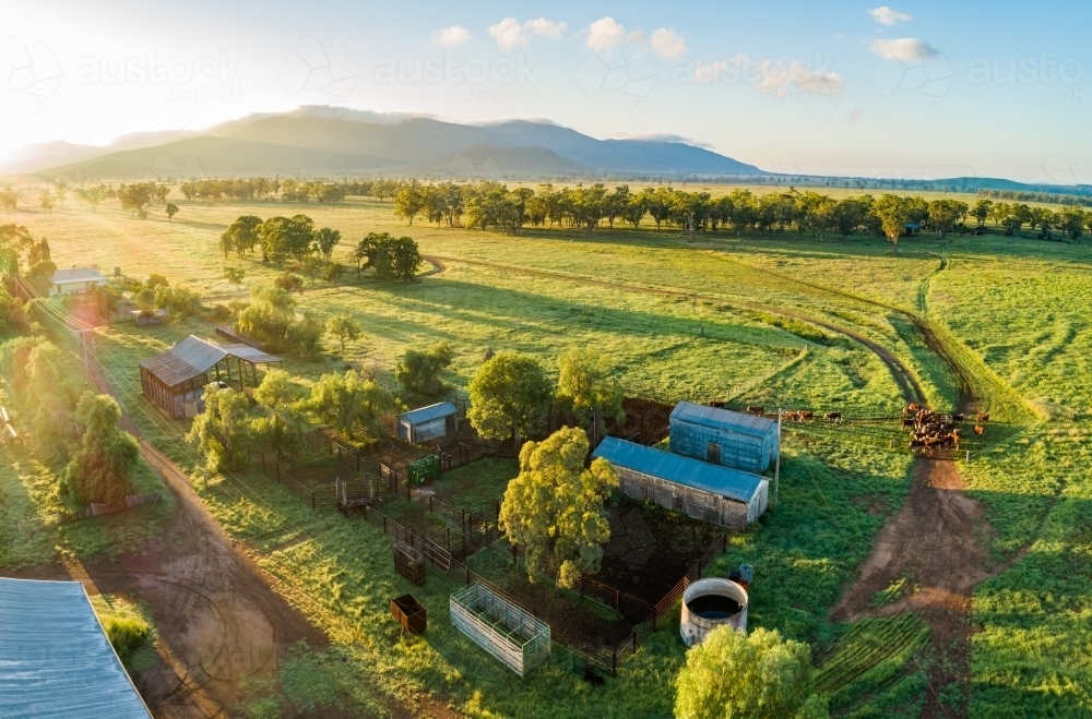 Stockyard on green farm as seen from drone - Australian Stock Image