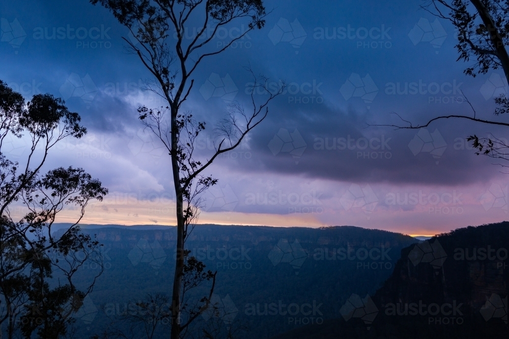storm clouds above Blue Mountain scenery with gum tree in foreground - Australian Stock Image