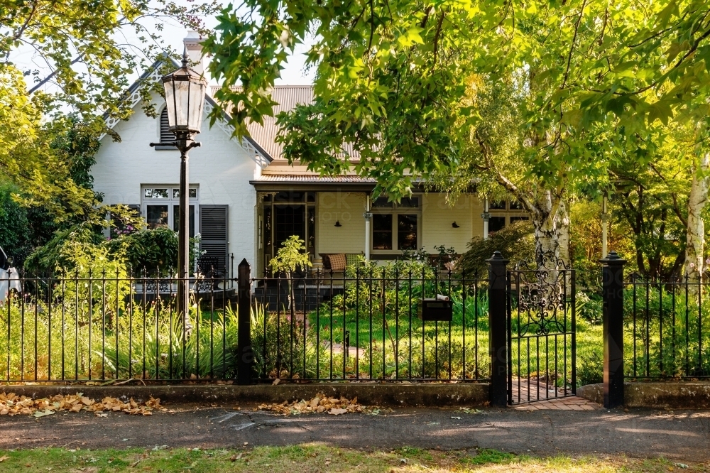 suburban tree lined street - Australian Stock Image