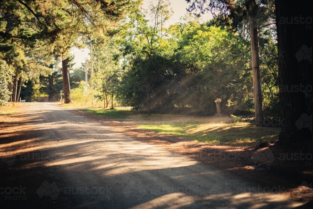Sun beaming through trees on a dirt road - Australian Stock Image