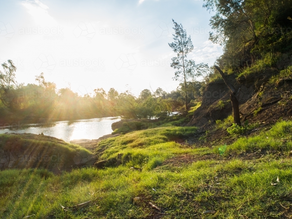 Sun light flare over green grass on riverside of hunter river in Singleton NSW - Australian Stock Image