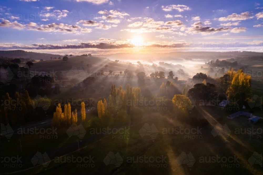 Sun ray beams streaking through the fog over the countryside while the foreground is lined with popl - Australian Stock Image