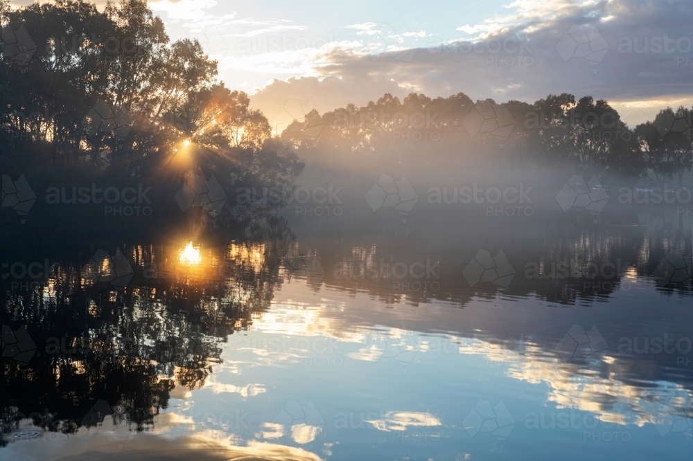 sun rays through gum tree at wetlands - Australian Stock Image