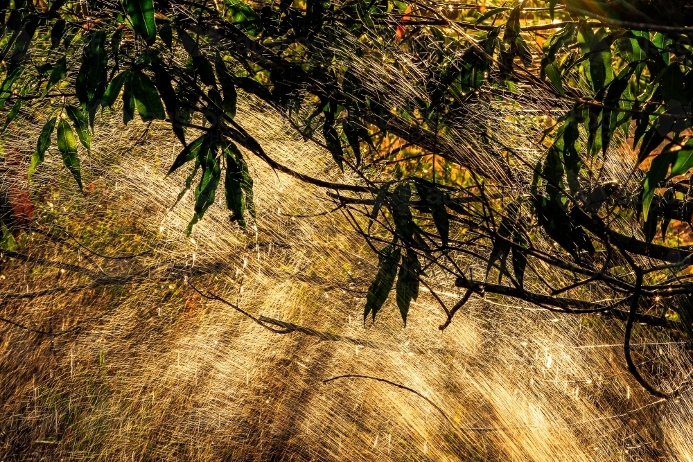 Sun rays through misting water - Australian Stock Image