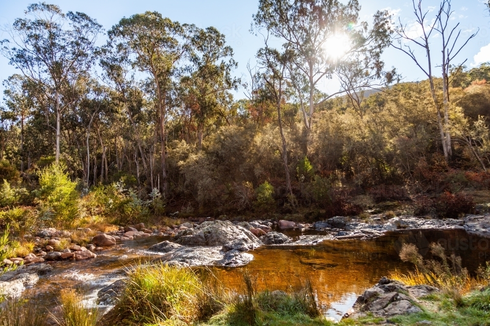 Sunlight shining on water of creek with gum trees - Australian Stock Image