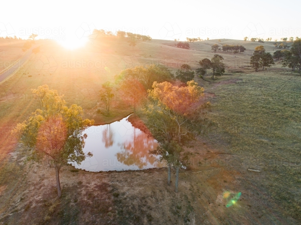 Sunlight shining over dam in farm paddock - Australian Stock Image