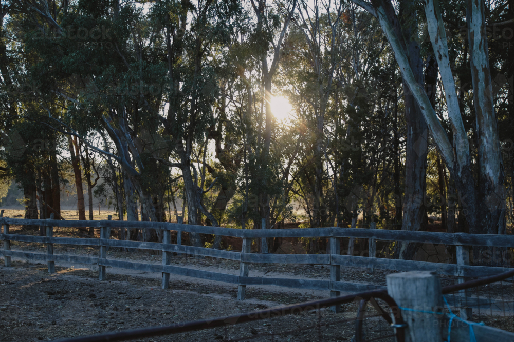 Sunlight through trees casting shadows on a rural fence - Australian Stock Image
