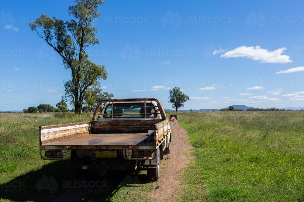 Sunlit ute driving up farm driveway through paddocks on australian farm - Australian Stock Image