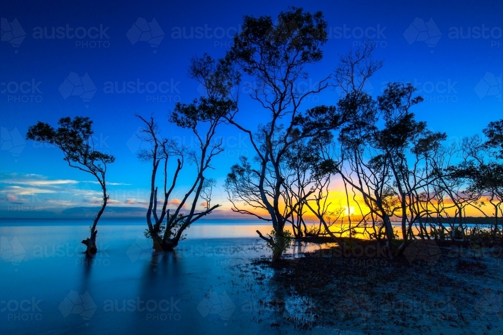 Sunrise Nudgee Beach - Australian Stock Image