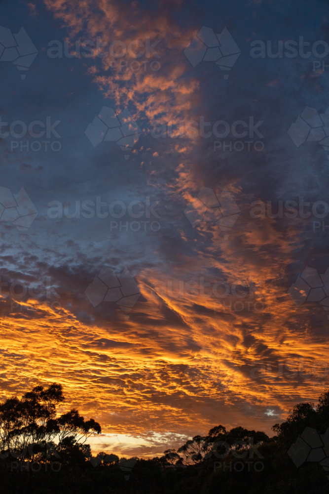 Sunrise on a cloudy day over forest - Australian Stock Image