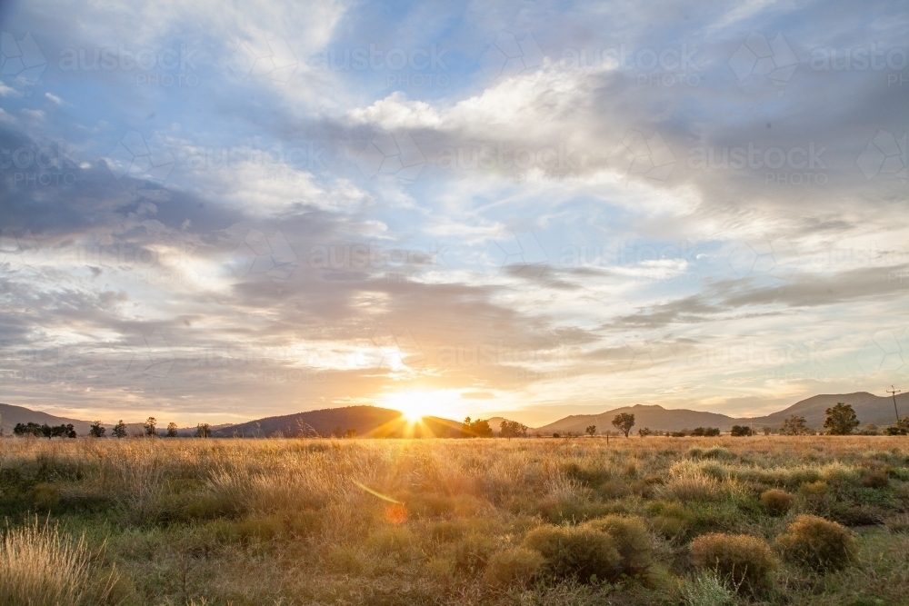 Sunrise over a farm paddock - Australian Stock Image