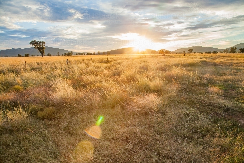 Sunrise over a farm paddock - Australian Stock Image