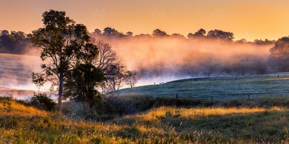 Sunrise over misty paddock in upper Caboolture - Australian Stock Image