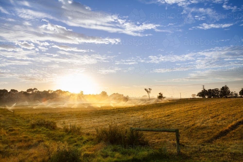 Sunrise over spray of sprinklers irrigating farm paddock - Australian Stock Image