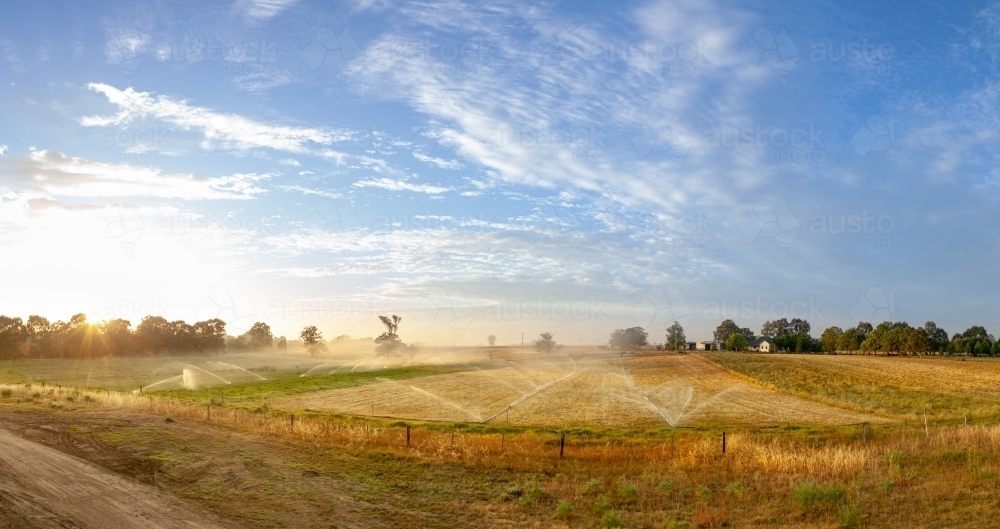 Sunrise over spray of sprinklers irrigating farm paddock - Australian Stock Image