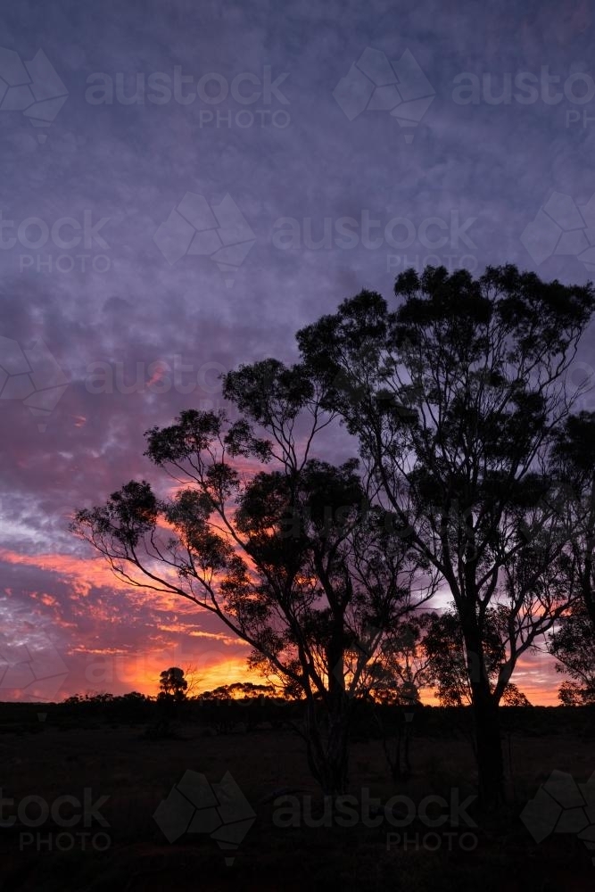 Sunset in outback Australia - Australian Stock Image