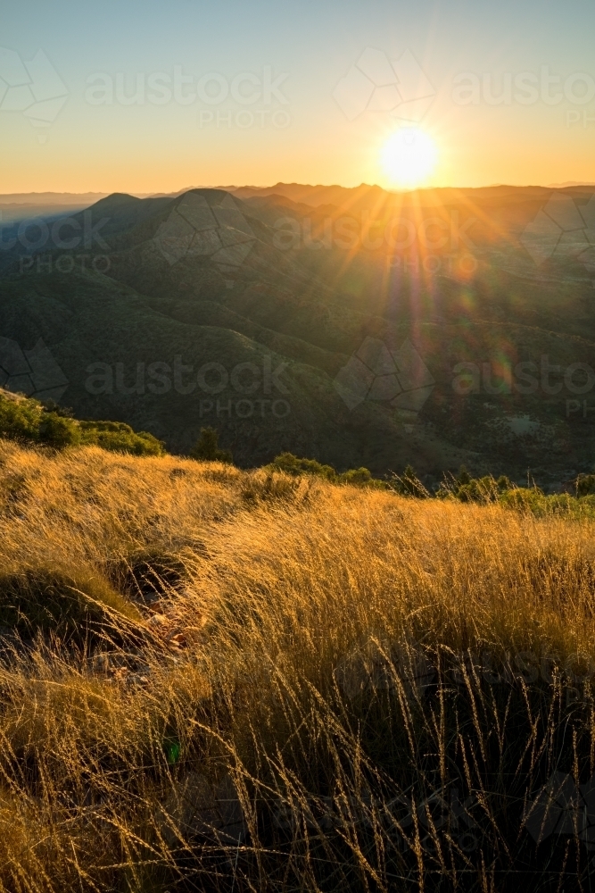 Sunset looking over golden coloured grasses from a high vantage point in the West MacDonnell Ranges. - Australian Stock Image