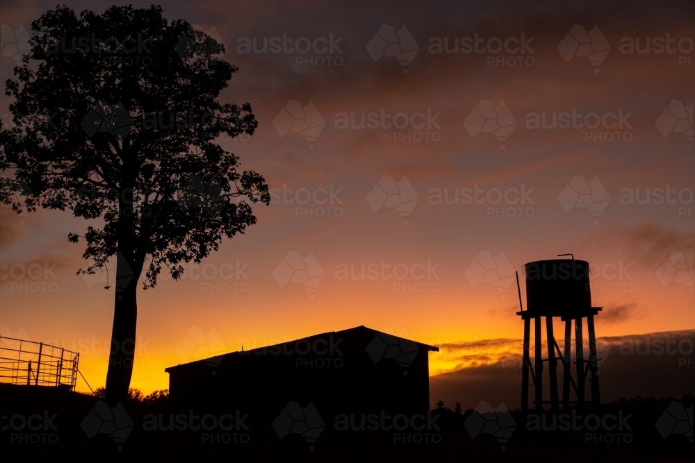 Sunset silhouette of a farm shed, water tank tower, tree, and cattle yards. - Australian Stock Image