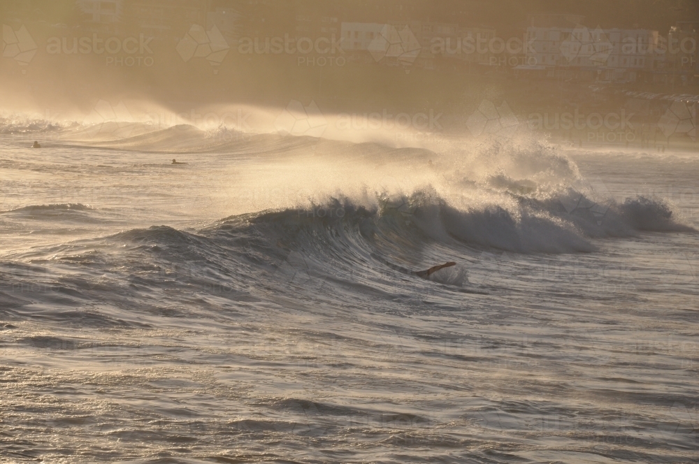 Surfer duck dive under wave - Australian Stock Image