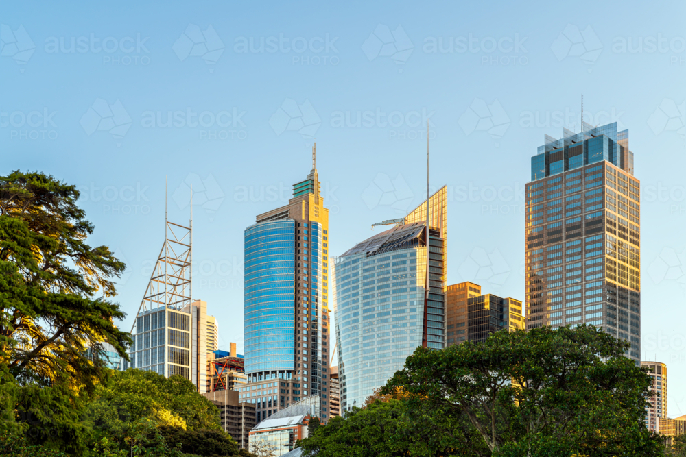 Sydney City skyline at sunset while viewed across Royal Botanic Garden - Australian Stock Image