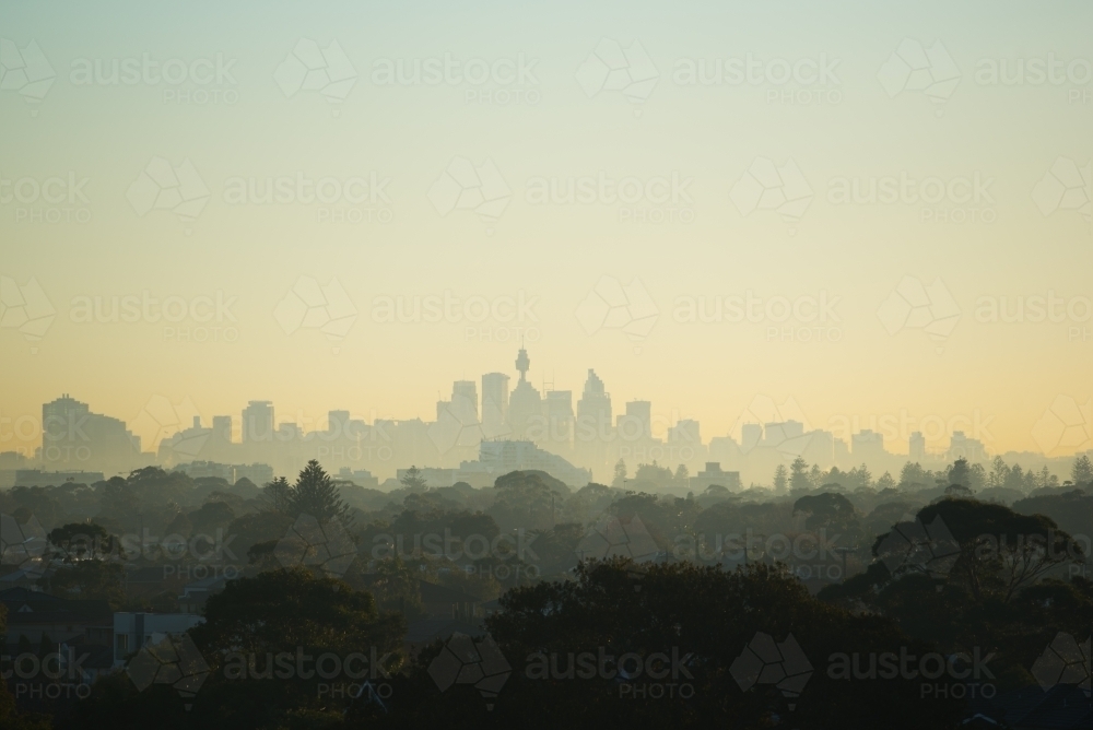 Sydney skyline at dawn with misty air - Australian Stock Image