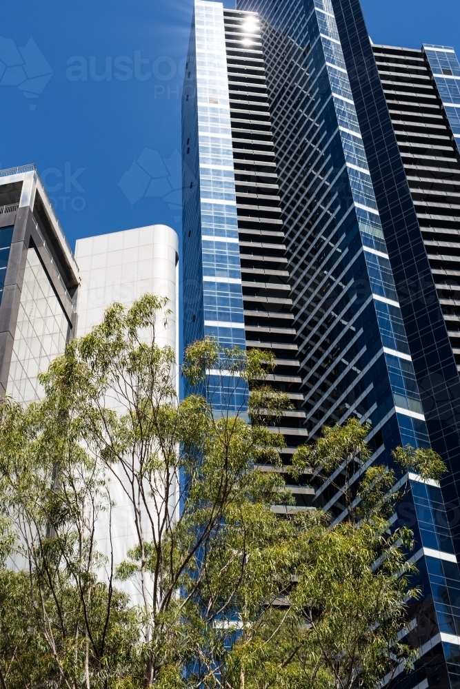 Tall buildings in the central business district of melbourne - Australian Stock Image