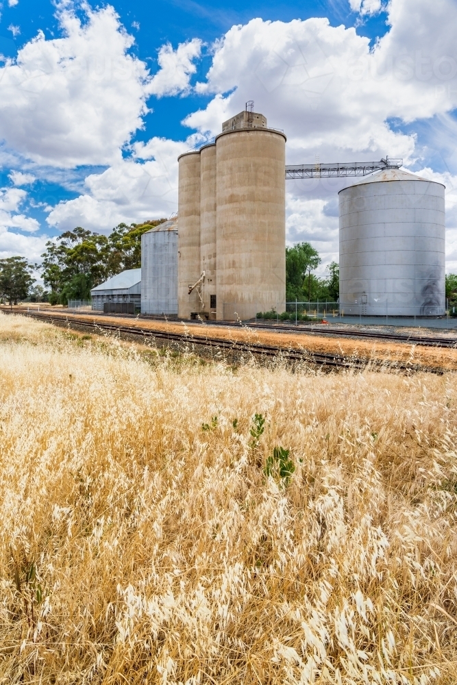 Tall dry grass around a set of rural grain silos along a railway line - Australian Stock Image