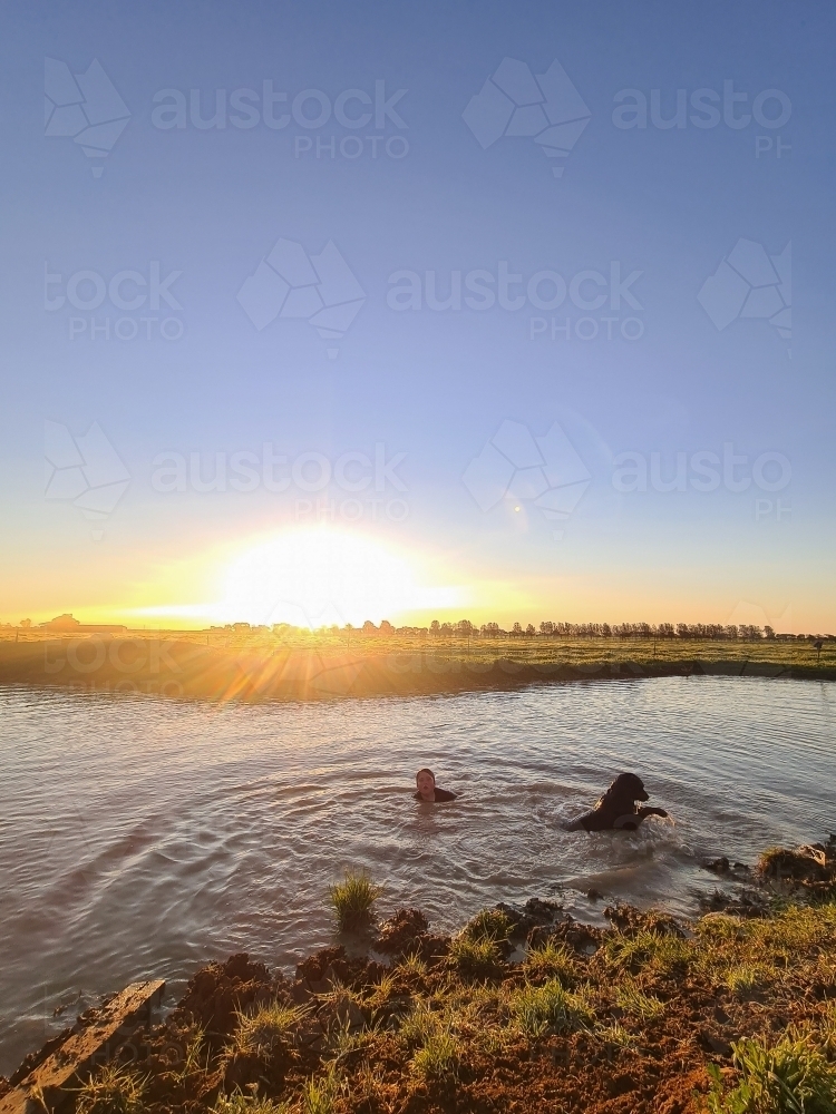 Teen boy and his dog swimming in dam at sunset. Summer life on the farm. - Australian Stock Image