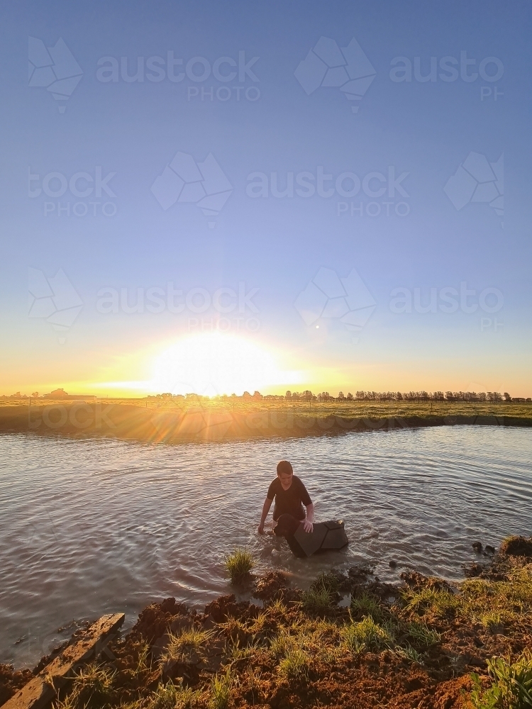 Teen boy and his dog swimming in dam at sunset. Summer life on the farm. - Australian Stock Image