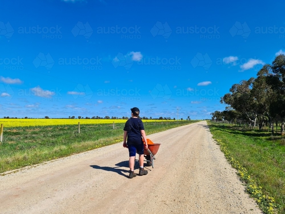 Teen boy pushing wheelbarrow down country road beside canola paddock - Australian Stock Image